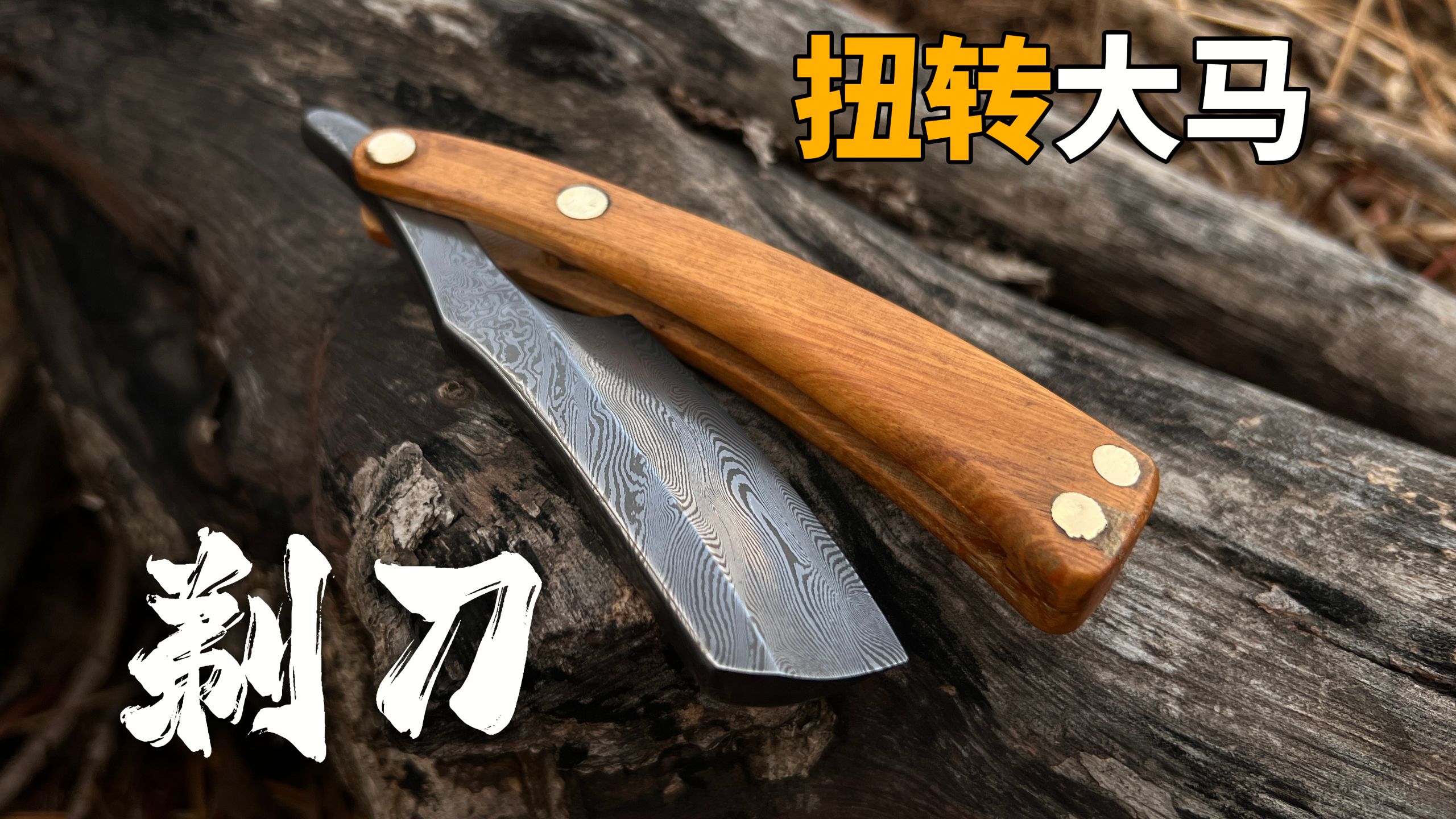 生存狂的惬意计划