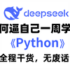 【全568集】这绝对是B站最全最易懂的Python全套教程，2025最新版，适合所有零基础小白入门到精通，别再走弯路了，逼自己一周学完，全程干货学完即就业