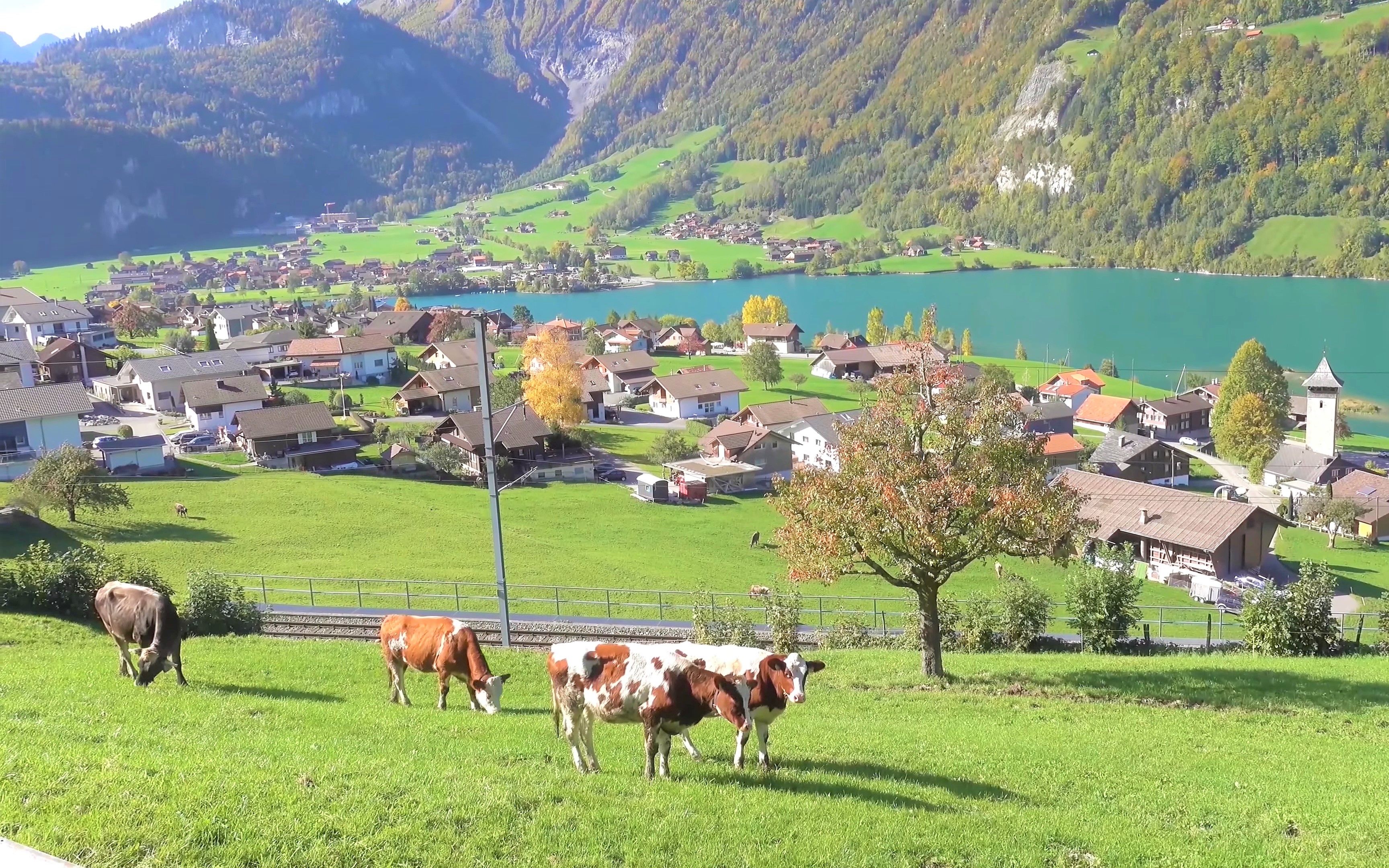 那是一个与世隔绝的地方---瑞士1-卢塞恩旅游攻略-游记-去哪儿攻略