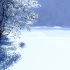 f283 2k画质超唯美宁静大树野外大自然白雪皑皑雪花飘落下雪雪景冬天冬季LED舞台背景视频