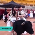 SNH48飞赴西班牙拍摄MV 遭动物保护组织抵制
