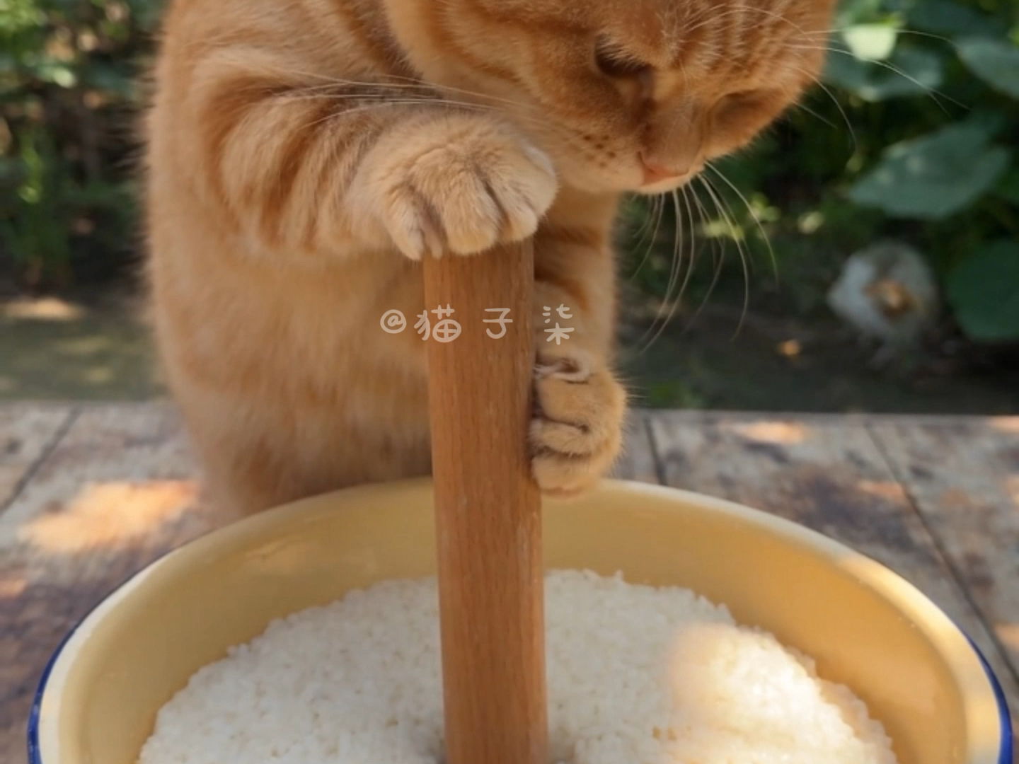 今天喝桂花酒酿咖啡