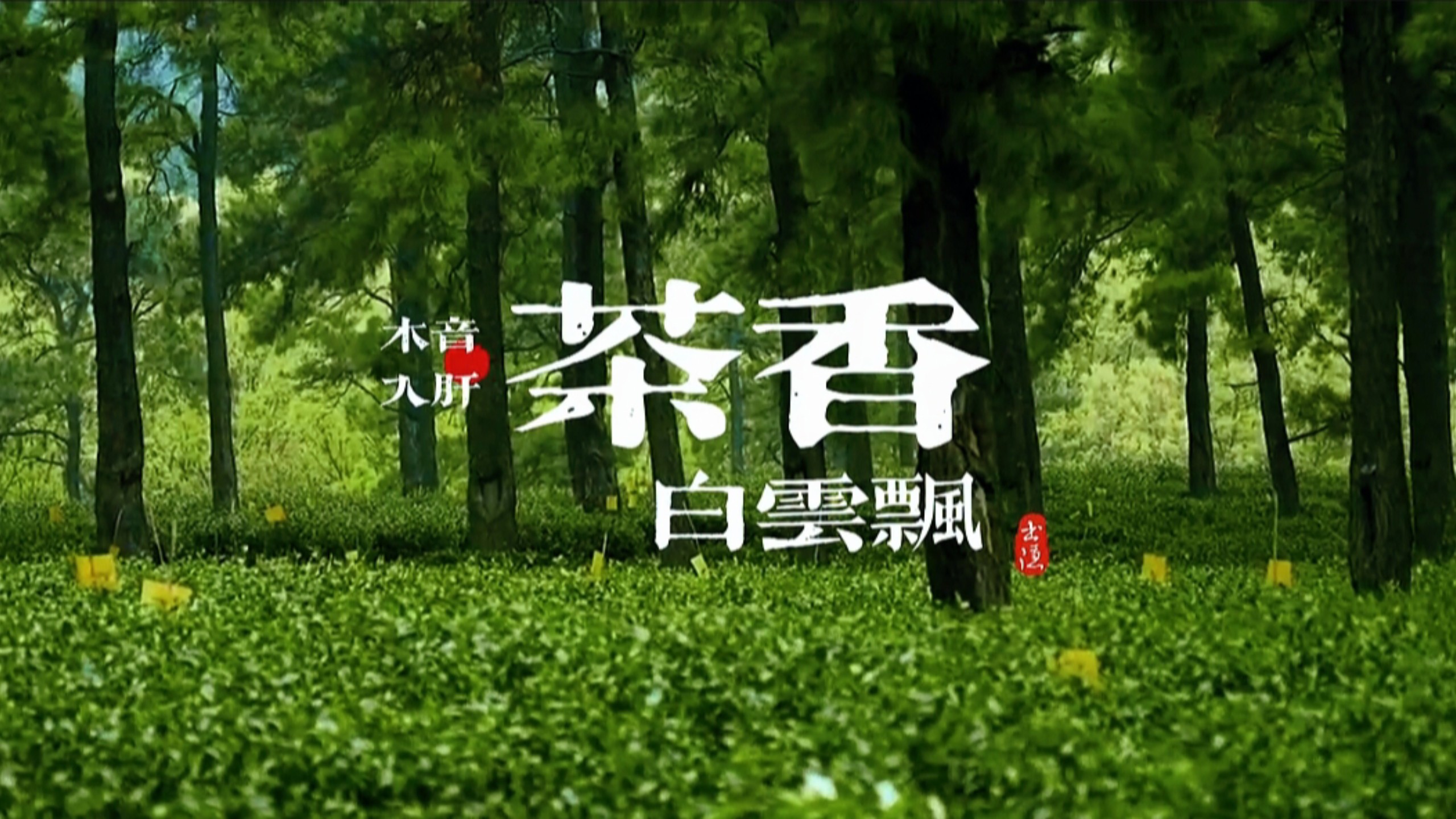 『五音疗疾』木音入肝，舒心畅气，解郁安神，放松减压，助益睡眠，胆小多疑，失眠多梦，火大易怒可多听用《茶香白云飘》