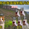 假如我国强制服兵役