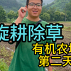 生态有机农场种植第二第三天