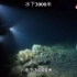 海底一万米到底有什么