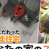 131-从超小住宅到豪华狗狗乐园，你想住哪种家？///あなたの家のこだわりは？「激せま住宅」に「お節介すぎる学生寮