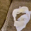 当同事洗完澡不穿衣服站在我面前