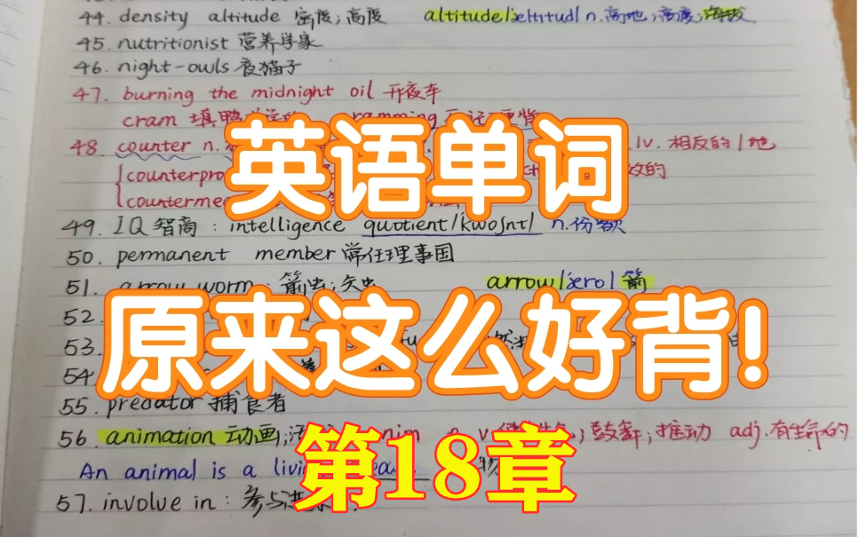 【世界上最高效的单词记忆法】英语单词记忆|如何背英语|如何高效学习 (第18章)哔哩哔哩bilibili