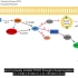 【YouTube+中英字幕】生物信号通路之Overview of AKT Signaling Pathway