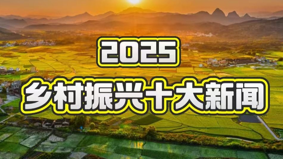 中央广播电视总台发布2025乡村振兴十大新闻-央视农业-央视农业-哔哩哔哩视频