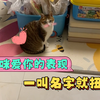 小黑爱妈妈，一叫就扭头