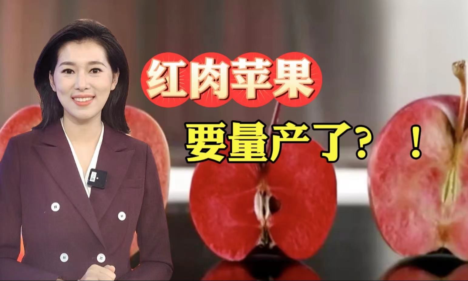 技术转让1600万！“中国芯”红肉苹果要产业化啦！【主播说三农】