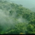 航拍热带雨林超清自然风景