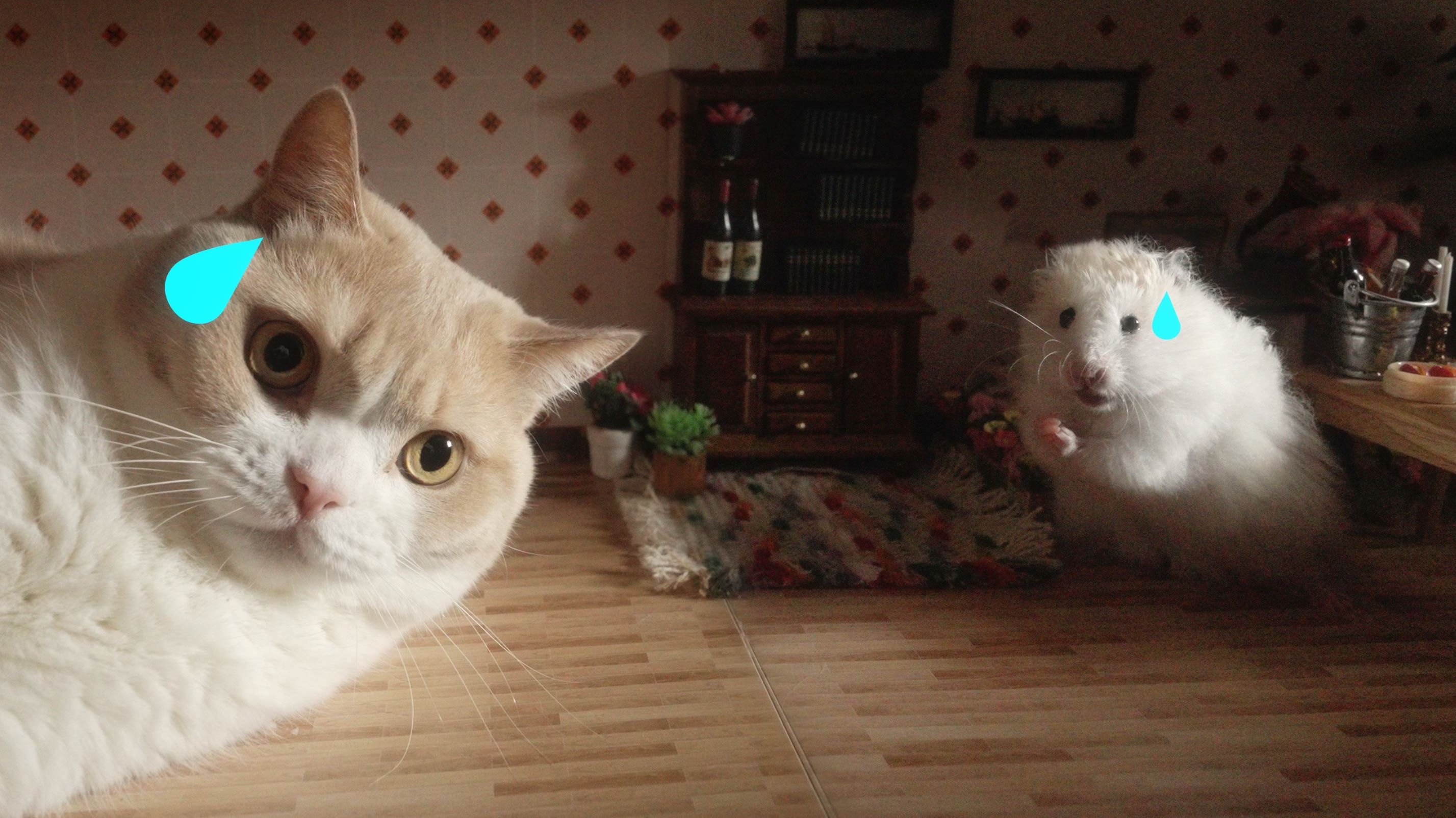 猫 和 老 鼠 和 ？