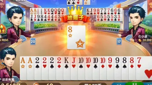 一局7个纯炸，这玩意叫天地癞子？