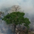 亚马逊雨林火灾后航拍画面
