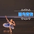 【芭蕾】舞剧睡美人～蓝鸟变奏—学生比赛合集