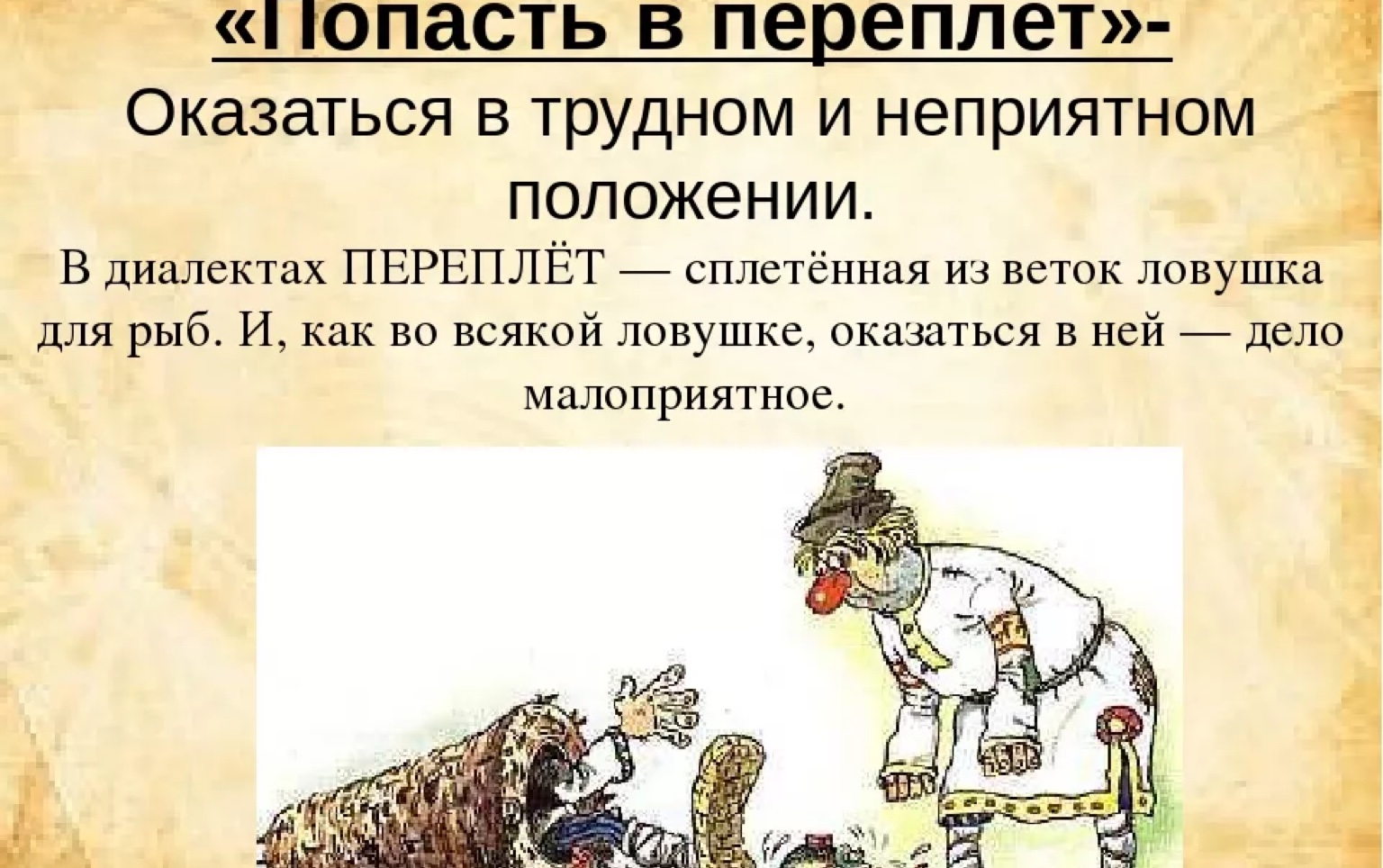 Попал П Попу Секс