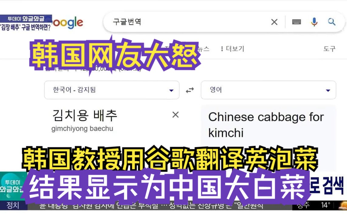 韩国教授用谷歌翻译泡菜,结果显示为中国大白菜!韩国网民大怒哔哩哔哩bilibili