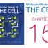 《细胞的分子生物学》第15章 细胞信号传导 配套视频（字幕重制版）