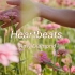 英文推歌  ‖《 Heartbeats 》是一首治愈心灵的歌深入人心，空灵而宁静。