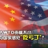 中国加入WTO二十年 让某些国家感到“很吃亏”？