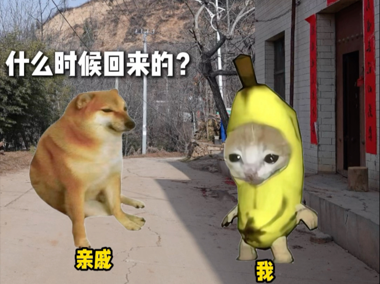 快来学一下，过年亲戚问话