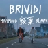 【MV | 翻译】Mahmood&BLANCO - Brividi (颤栗)  #Sanremo2022 #圣雷莫202