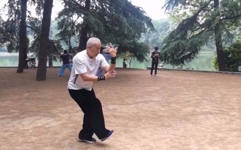 合肥心意六合拳名家张宁卫老师演练讲解踩步摇闪把刮地风