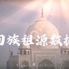 回族祖源数据