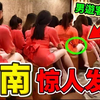 全世界关于越南的10个有趣发现，12生肖中有居然有猫_第一名堪称男人纵情享乐的天堂_世界之最Top