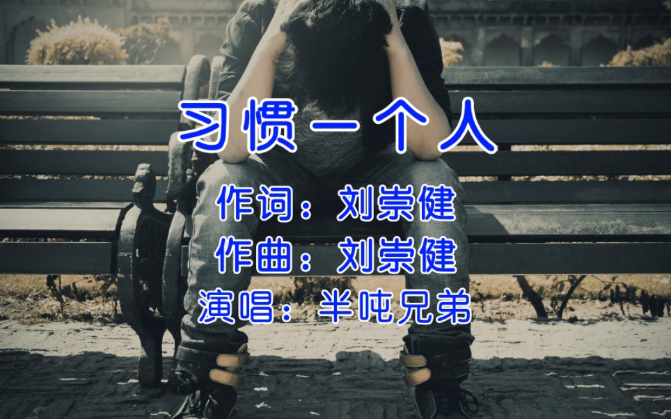 半吨兄弟《习惯一个人》，不知从什么时候开始，爱上了安静！