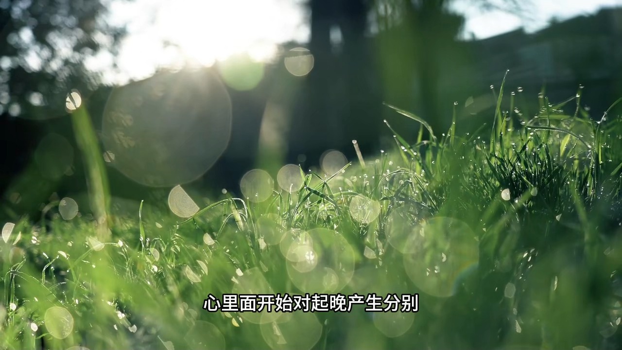 什么是真正的三心不可得？金刚经所讲的过去心、现在心、未来心分别代表了什么？它可是决定你是否活在当下的关键！