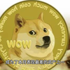 狗狗币即将爆发！2025 年 3 月 DOGE 将涨到多高