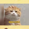 姐姐最忠实的奴仆还得是弟弟妹妹们啊~~ #大学生 #姐控 #搞笑 #姐姐弟弟 #姐姐妹妹
