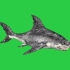 绿幕抠像巨齿鲨鱼视频素材