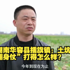 聚焦3·15丨探访湖南华容县插旗镇：土坑酸菜的“翻身仗”打得怎么样