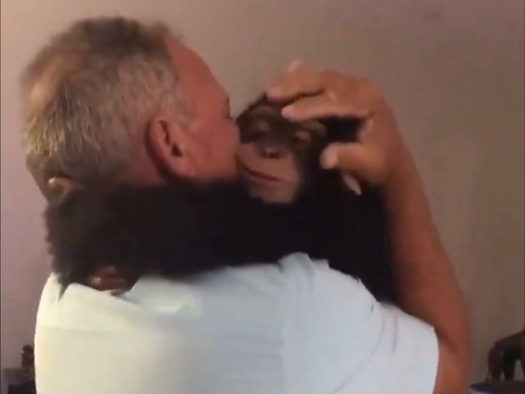 This little gorilla's a sperm.