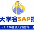【SAP FICO财务】5.SAP HANA和SAP S4HANA概念比较
