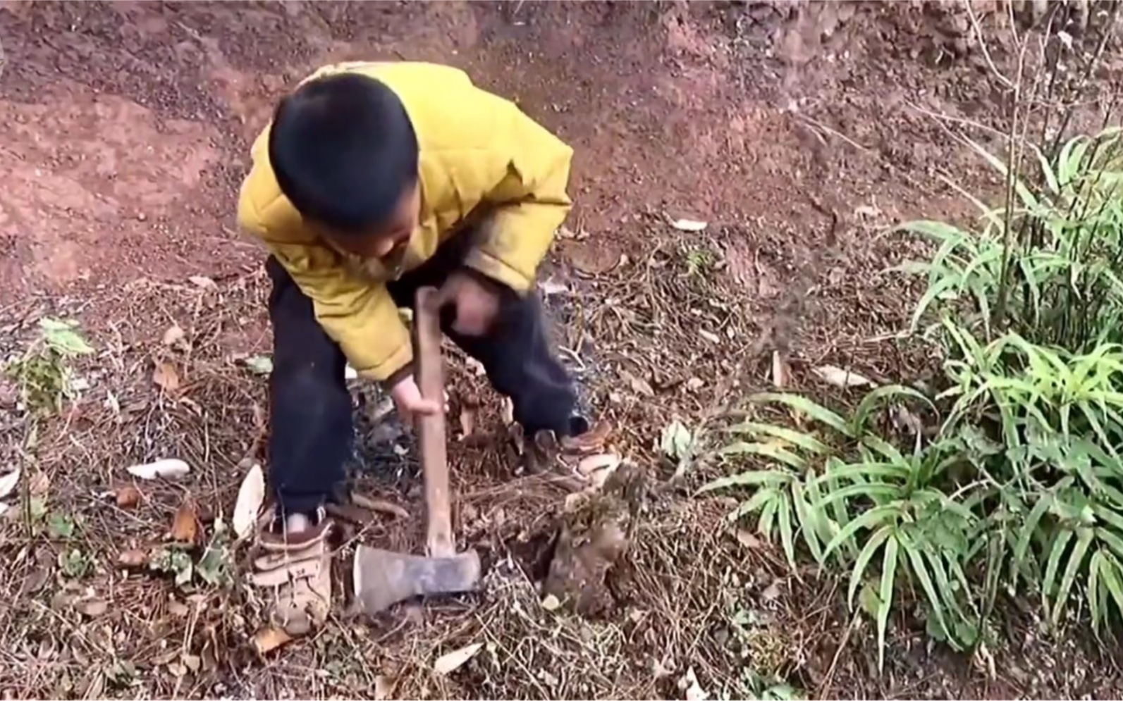 纪录片：山区没有父母的孩子，自己背着竹篓上山砍柴，收到玩具开心的笑了。