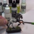 Painting an Appaloosa Horse