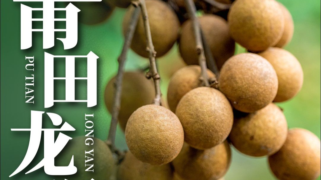 莆田龙眼，是莆田四大名果之一