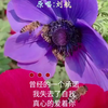 曾经的一个承诺我失去了自我真心的爱着你却没有一点把握孤独的我