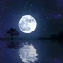 【视频素材】水上的夜月亮倒影动画视频无版权无水印自取［1080 HD]