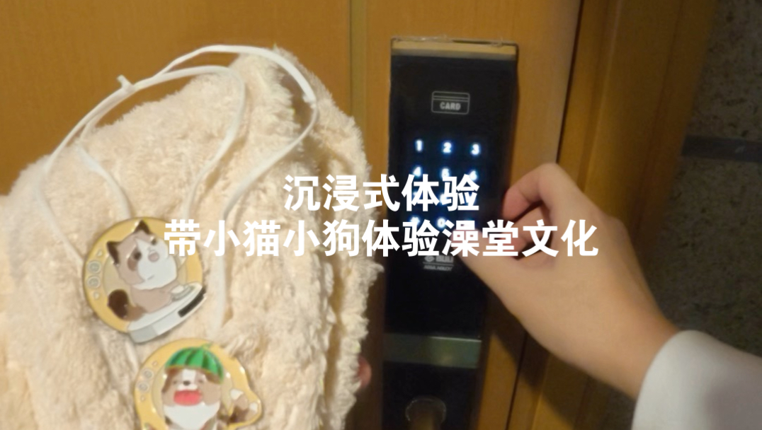小猫小狗请别急，洗完它的洗你的..