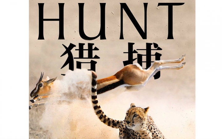 【bbc】猎捕/the hunt 第一季全 中英字幕【zimuzu】