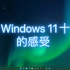 体验Windows 11十天后的感受