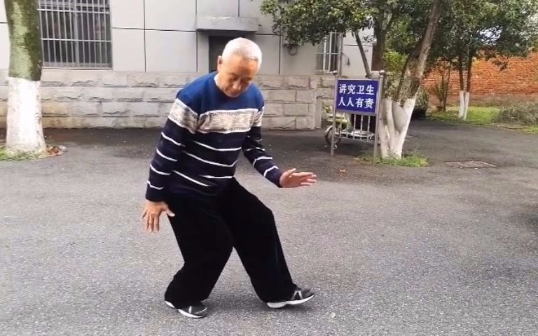 合肥心意六合拳名家张宁卫老师讲解心意拳恨劲之恨地无环