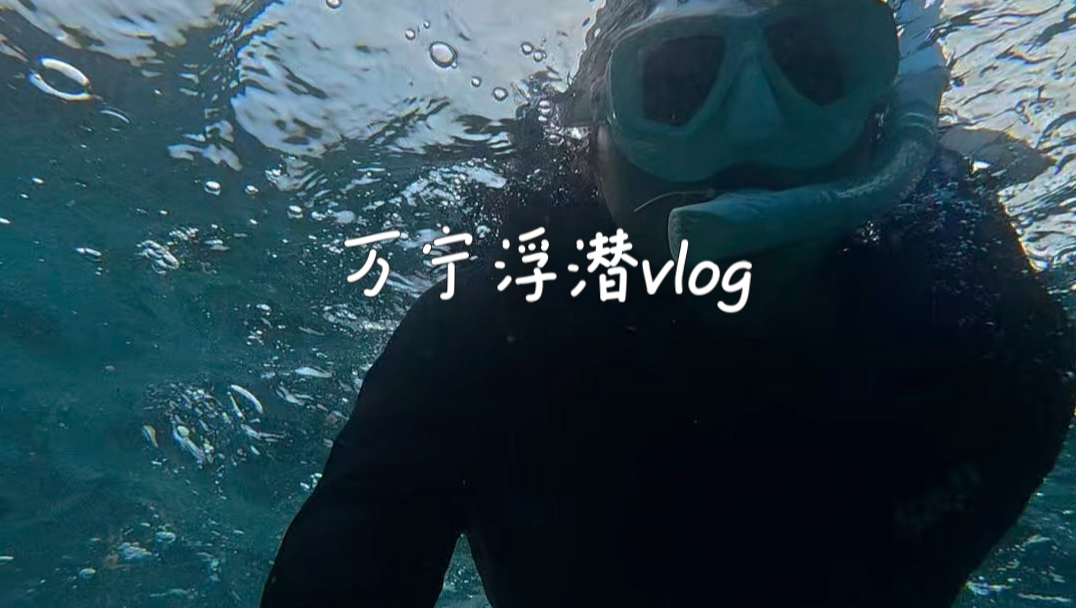 万宁真的好好玩！加井岛浮潜vlog